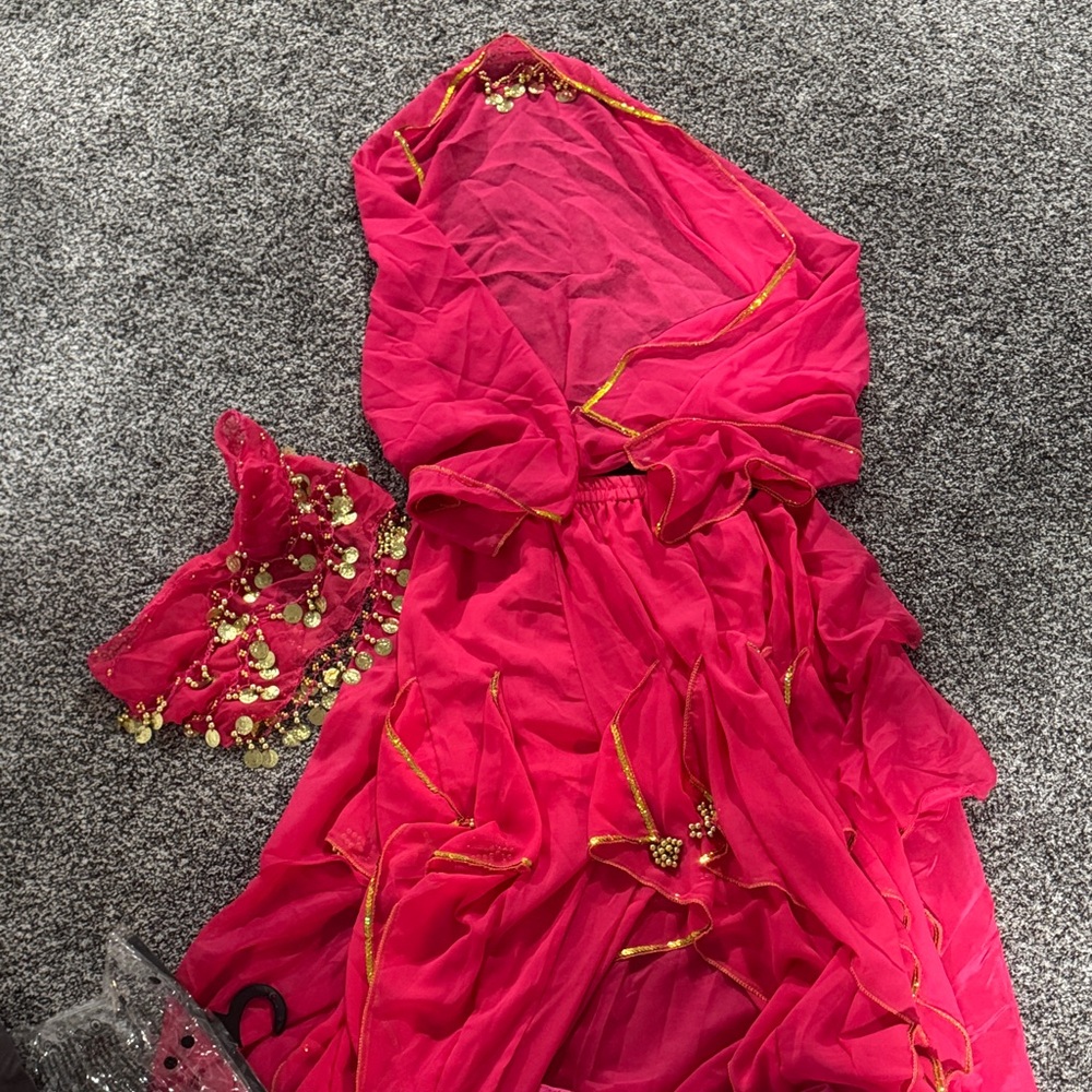 Elegant Pink and Gold harem dance costume. 4 piece costume